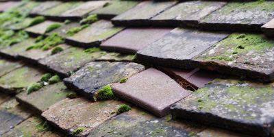 Stevington roof repair costs